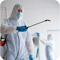 Freepik Retouch 74663 4